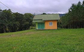 Casa das Palmeiras